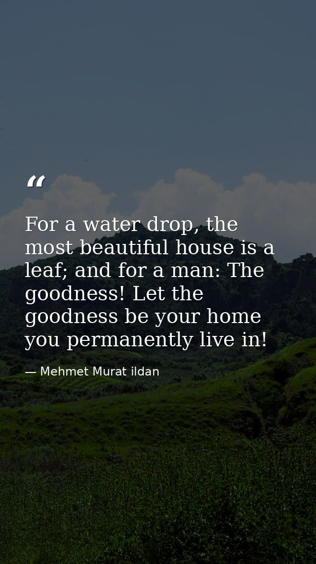 For a water drop, the most beautiful house is a leaf; and for a man: The goodness! Let the goodness be your home you per — Mehmet Murat ildan