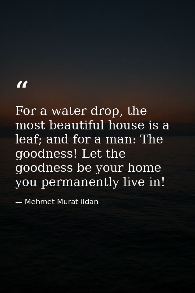 For a water drop, the most beautiful house is a leaf; and for a man: The goodness! Let the goodness be your home you per — Mehmet Murat ildan
