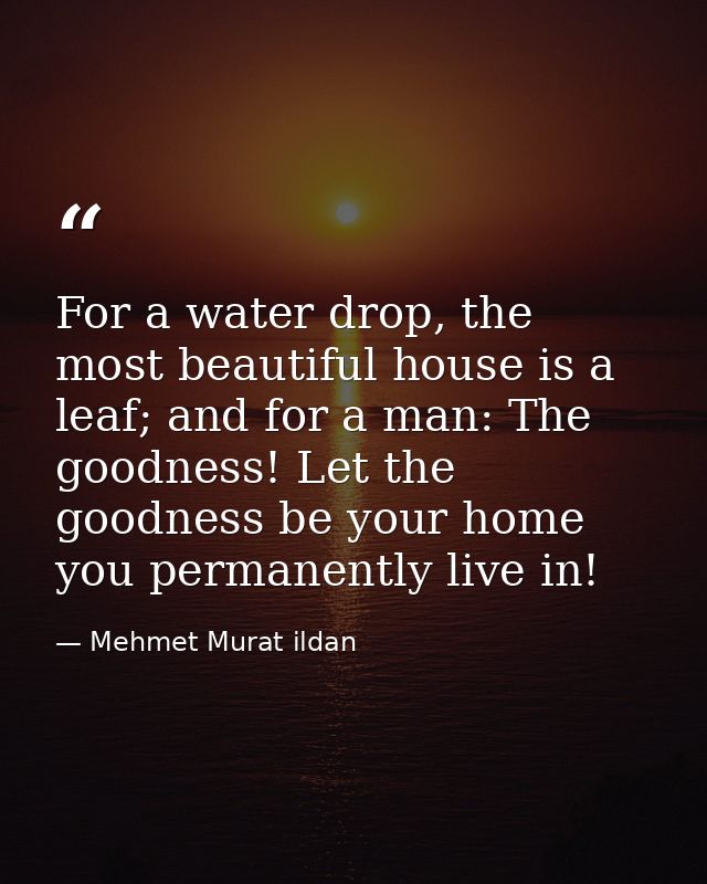 For a water drop, the most beautiful house is a leaf; and for a man: The goodness! Let the goodness be your home you per — Mehmet Murat ildan