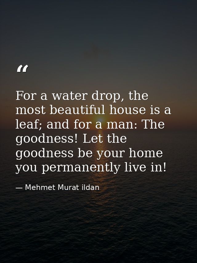 For a water drop, the most beautiful house is a leaf; and for a man: The goodness! Let the goodness be your home you per — Mehmet Murat ildan