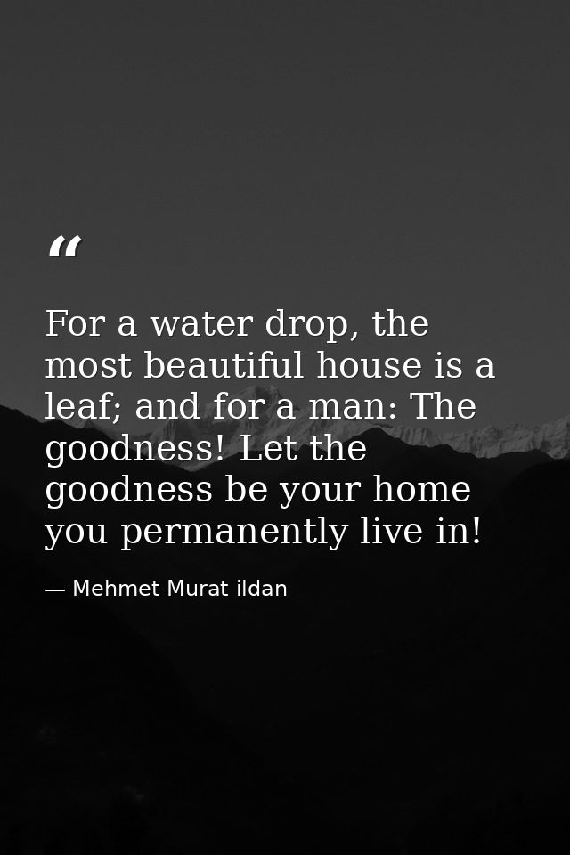 For a water drop, the most beautiful house is a leaf; and for a man: The goodness! Let the goodness be your home you per — Mehmet Murat ildan