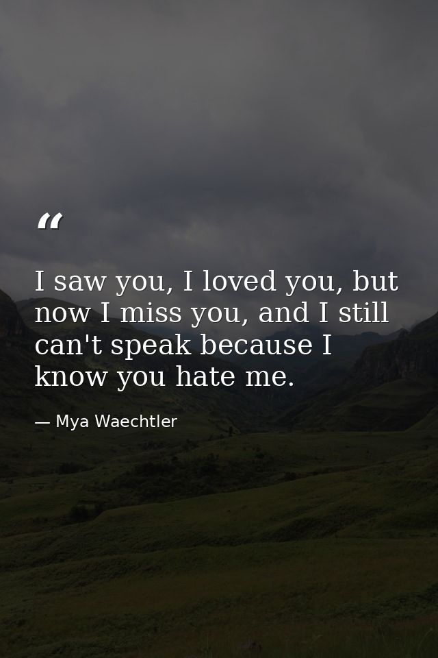 I saw you, I loved you, but now I miss you, and I still can't speak because I know you hate me. — Mya Waechtler