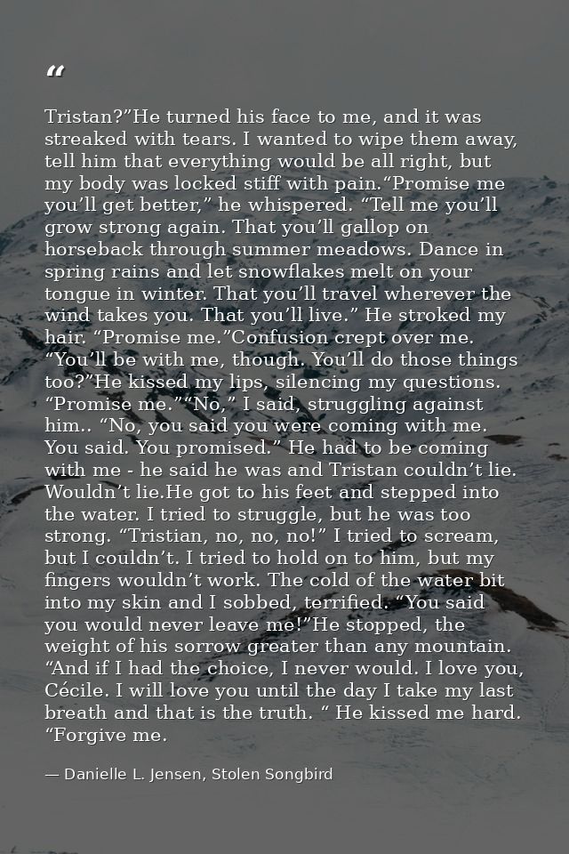 Tristan?”He turned his face to me, and it was streaked with tears. I wanted to wipe them away, tell him that everything  — Danielle L. Jensen, Stolen Songbird