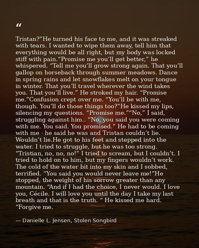 Tristan?”He turned his face to me, and it was streaked with tears. I wanted to wipe them away, tell him that everything  — Danielle L. Jensen, Stolen Songbird