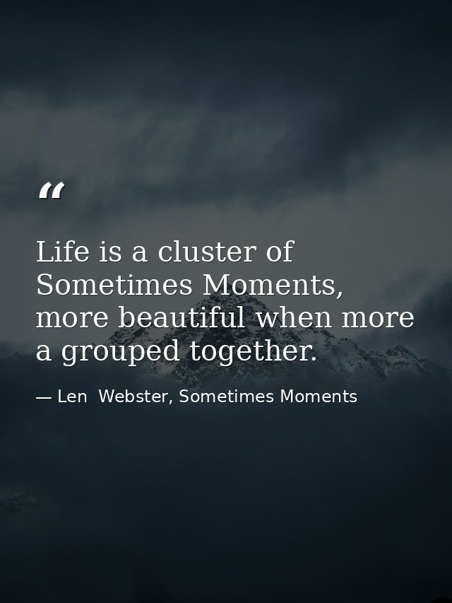 Life is a cluster of Sometimes Moments, more beautiful when more a grouped together. — Len  Webster, Sometimes Moments