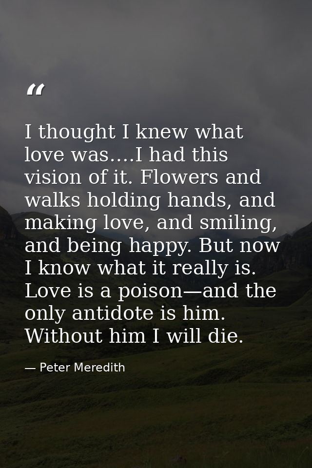 I thought I knew what love was….I had this vision of it. Flowers and walks holding hands, and making love, and smiling,  — Peter Meredith