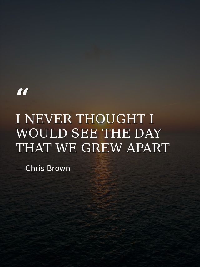 I NEVER THOUGHT I WOULD SEE THE DAY THAT WE GREW APART — Chris Brown