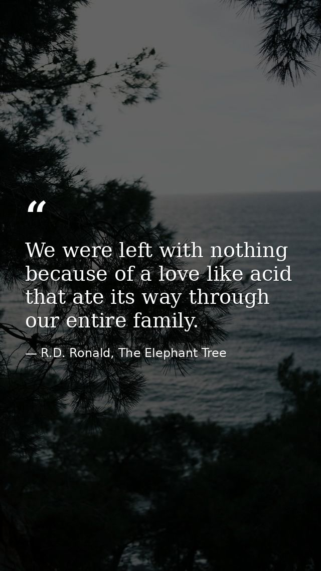 We were left with nothing because of a love like acid that ate its way through our entire family. — R.D. Ronald, The Elephant Tree