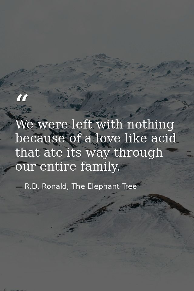 We were left with nothing because of a love like acid that ate its way through our entire family. — R.D. Ronald, The Elephant Tree
