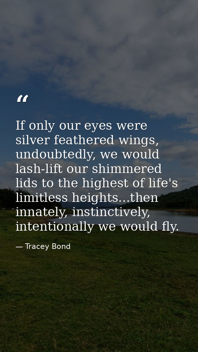 If only our eyes were silver feathered wings, undoubtedly, we would lash-lift our shimmered lids to the highest of life' — Tracey Bond