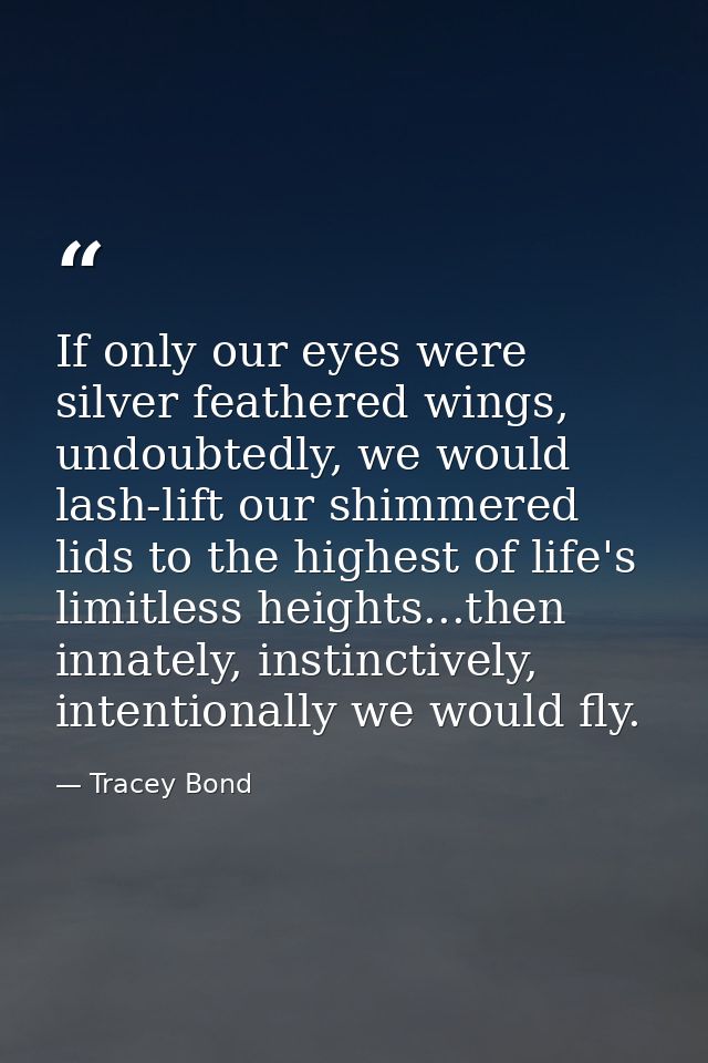 If only our eyes were silver feathered wings, undoubtedly, we would lash-lift our shimmered lids to the highest of life' — Tracey Bond