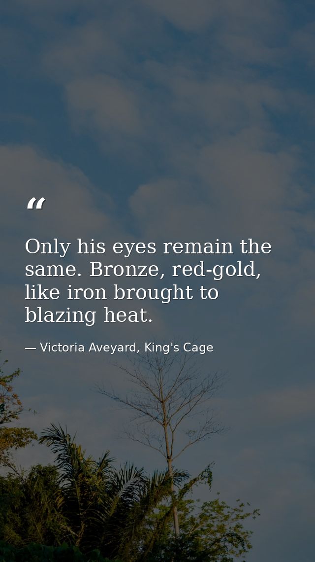 Only his eyes remain the same. Bronze, red-gold, like iron brought to blazing heat. — Victoria Aveyard, King's Cage