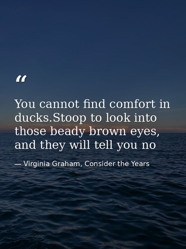 You cannot find comfort in ducks.Stoop to look into those beady brown eyes, and they will tell you no — Virginia Graham, Consider the Years