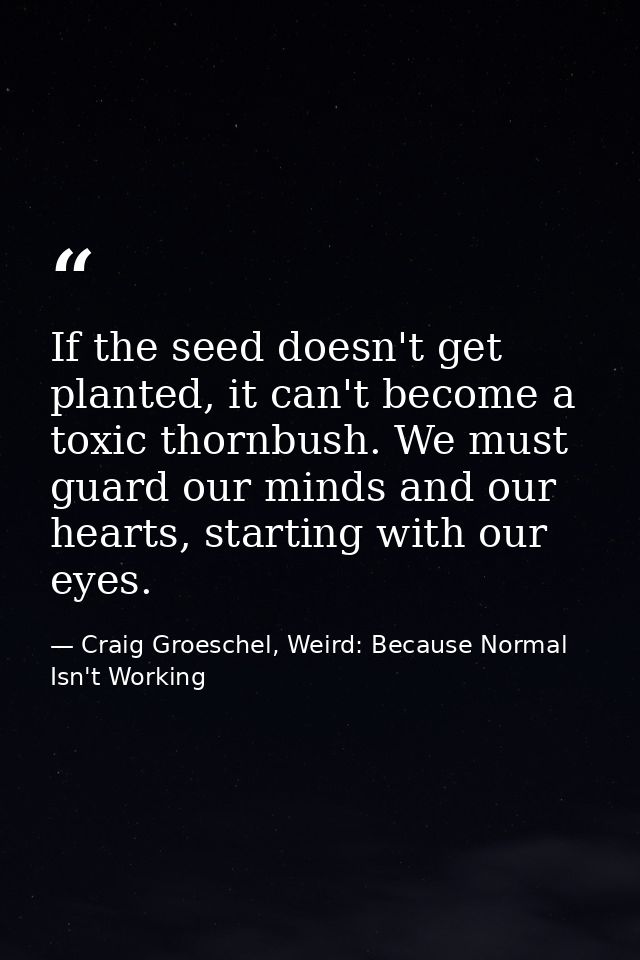 If the seed doesn't get planted, it can't become a toxic thornbush. We must guard our minds and our hearts, starting wit — Craig Groeschel, Weird: Because Normal Isn't Working