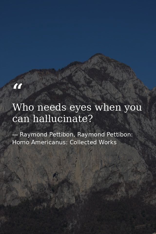 Who needs eyes when you can hallucinate? — Raymond Pettibon, Raymond Pettibon: Homo Americanus: Collected Works