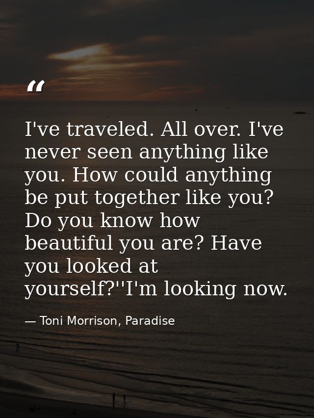 I've traveled. All over. I've never seen anything like you. How could anything be put together like you? Do you know how — Toni Morrison, Paradise