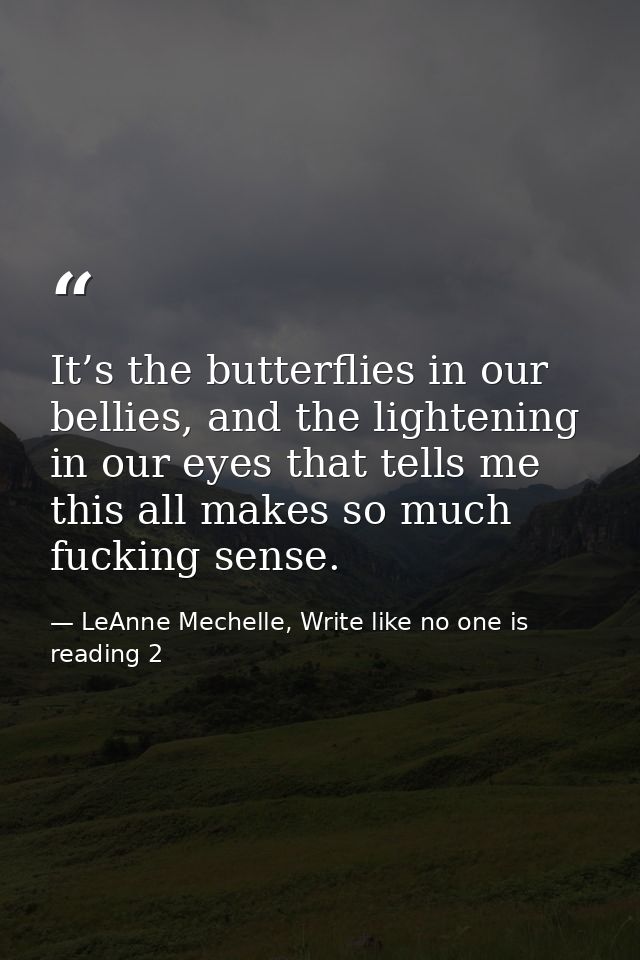 It’s the butterflies in our bellies, and the lightening in our eyes that tells me this all makes so much fucking sense. — LeAnne Mechelle, Write like no one is reading 2