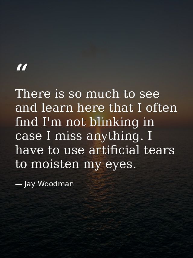 There is so much to see and learn here that I often find I'm not blinking in case I miss anything. I have to use artific — Jay Woodman