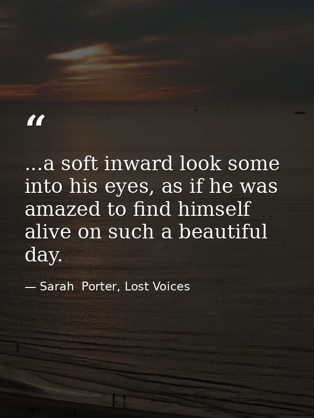 ...a soft inward look some into his eyes, as if he was amazed to find himself alive on such a beautiful day. — Sarah  Porter, Lost Voices