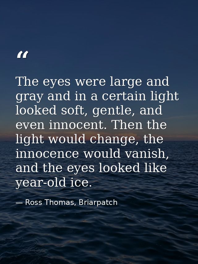The eyes were large and gray and in a certain light looked soft, gentle, and even innocent. Then the light would change, — Ross Thomas, Briarpatch