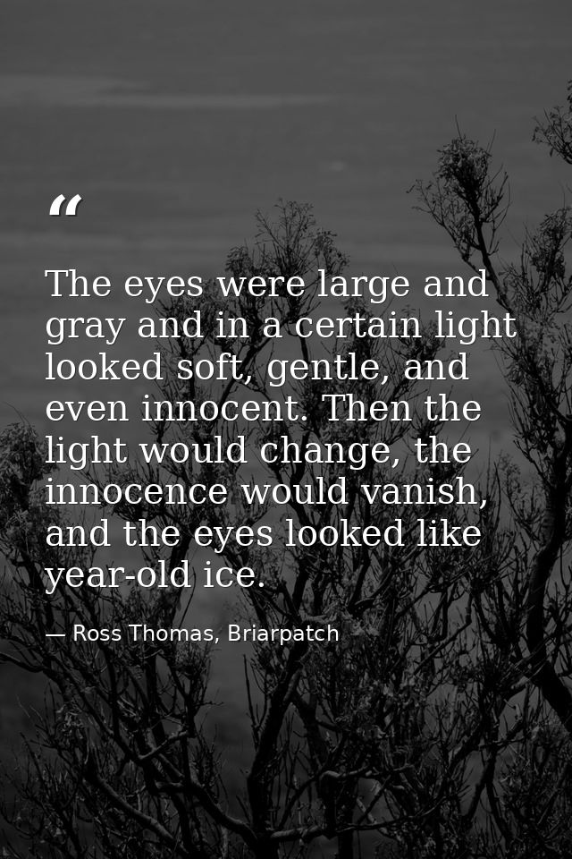 The eyes were large and gray and in a certain light looked soft, gentle, and even innocent. Then the light would change, — Ross Thomas, Briarpatch