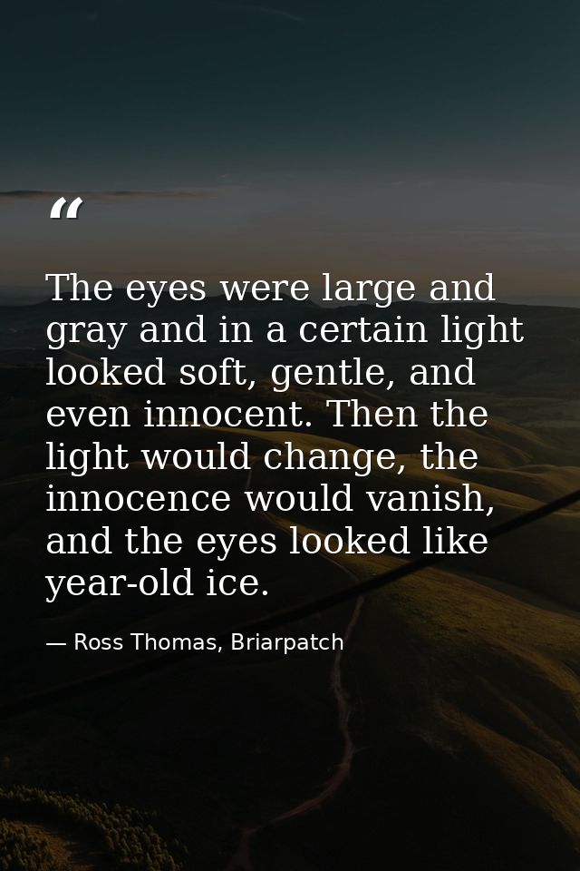 The eyes were large and gray and in a certain light looked soft, gentle, and even innocent. Then the light would change, — Ross Thomas, Briarpatch