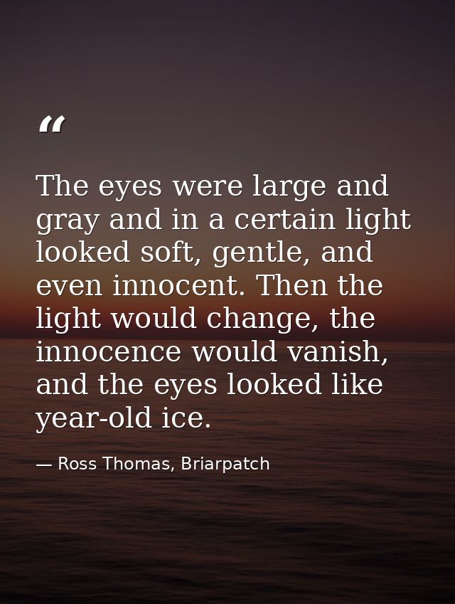 The eyes were large and gray and in a certain light looked soft, gentle, and even innocent. Then the light would change, — Ross Thomas, Briarpatch