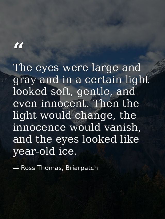 The eyes were large and gray and in a certain light looked soft, gentle, and even innocent. Then the light would change, — Ross Thomas, Briarpatch