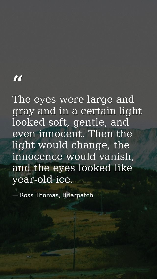 The eyes were large and gray and in a certain light looked soft, gentle, and even innocent. Then the light would change, — Ross Thomas, Briarpatch
