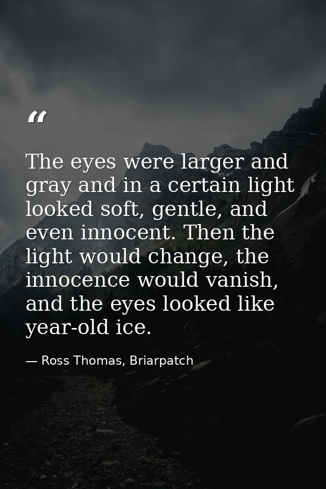 The eyes were larger and gray and in a certain light looked soft, gentle, and even innocent. Then the light would change — Ross Thomas, Briarpatch