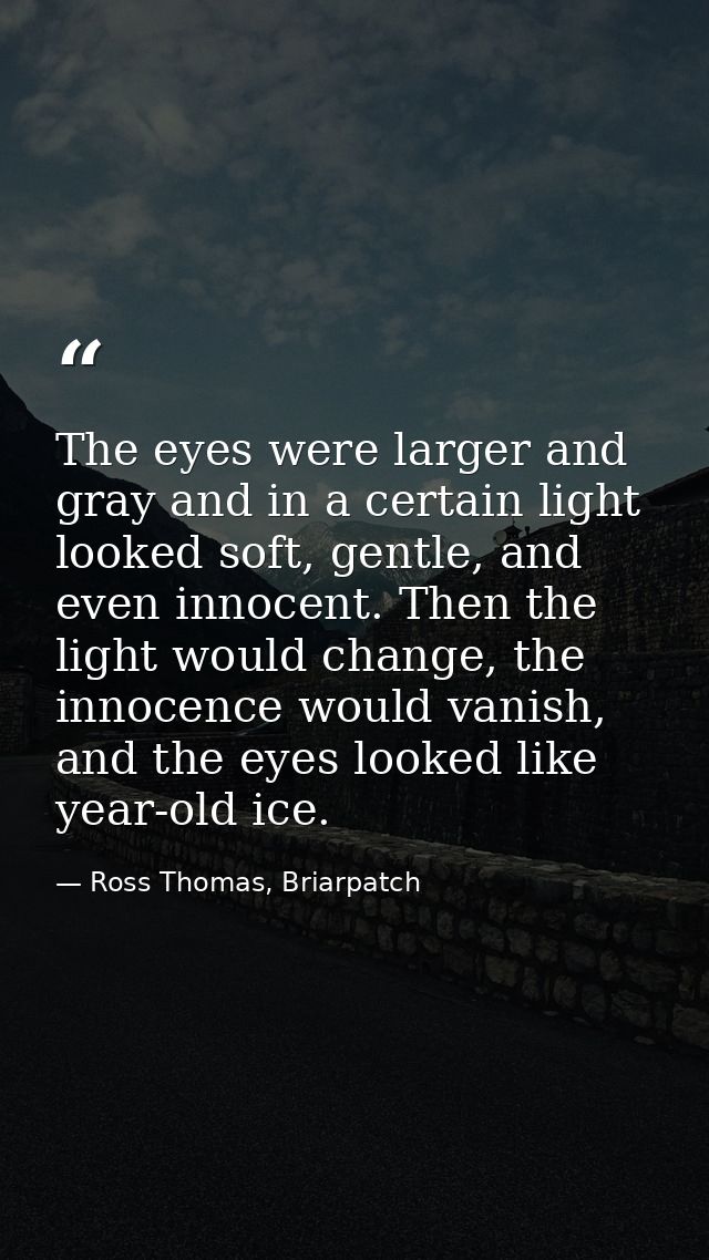 The eyes were larger and gray and in a certain light looked soft, gentle, and even innocent. Then the light would change — Ross Thomas, Briarpatch
