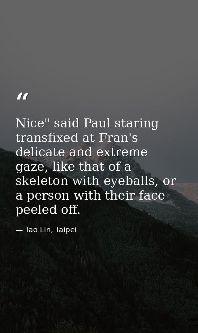 Nice" said Paul staring transfixed at Fran's delicate and extreme gaze, like that of a skeleton with eyeballs, or a pers — Tao Lin, Taipei