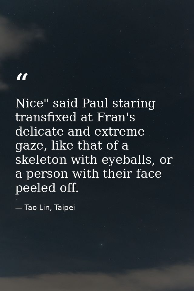 Nice" said Paul staring transfixed at Fran's delicate and extreme gaze, like that of a skeleton with eyeballs, or a pers — Tao Lin, Taipei