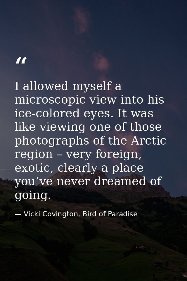 I allowed myself a microscopic view into his ice-colored eyes. It was like viewing one of those photographs of the Arcti — Vicki Covington, Bird of Paradise
