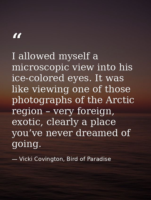 I allowed myself a microscopic view into his ice-colored eyes. It was like viewing one of those photographs of the Arcti — Vicki Covington, Bird of Paradise