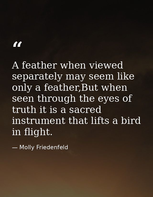 A feather when viewed separately may seem like only a feather,But when seen through the eyes of truth it is a sacred ins — Molly Friedenfeld