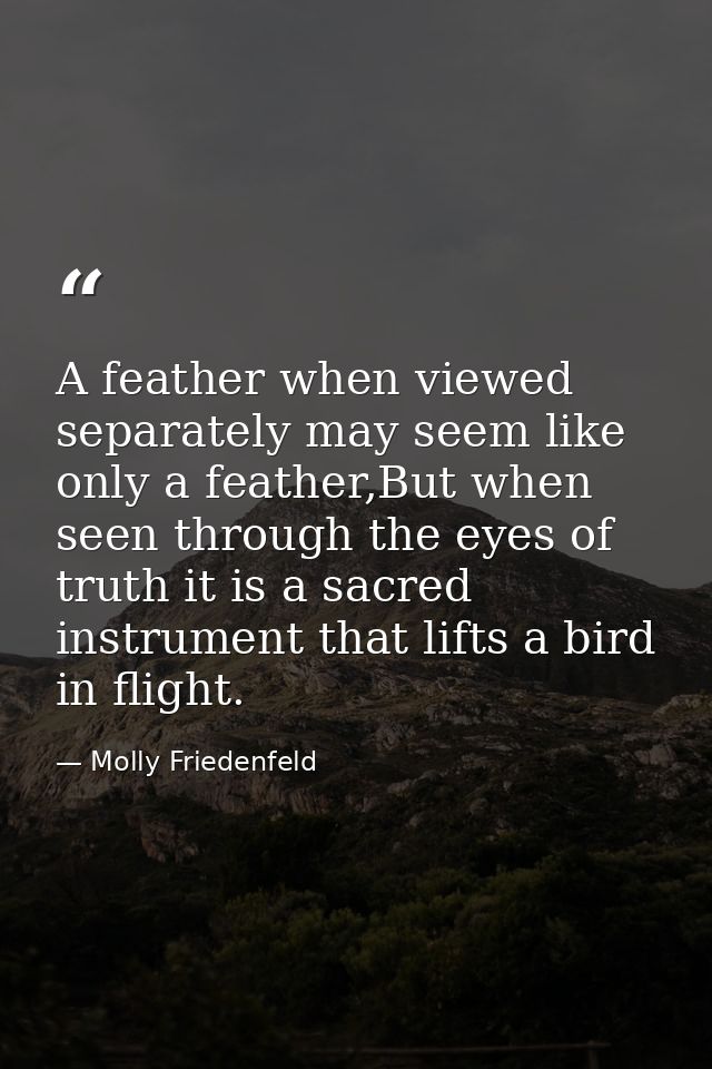 A feather when viewed separately may seem like only a feather,But when seen through the eyes of truth it is a sacred ins — Molly Friedenfeld