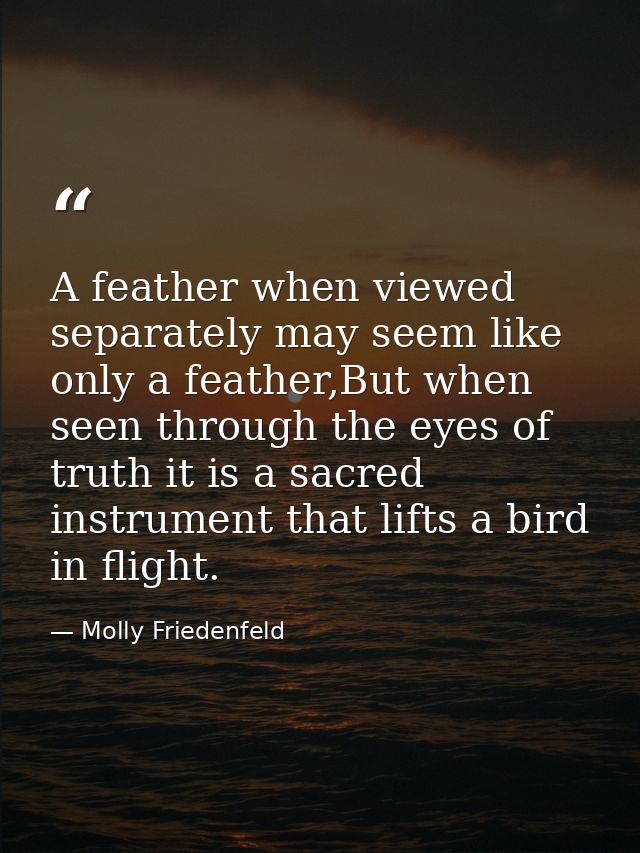 A feather when viewed separately may seem like only a feather,But when seen through the eyes of truth it is a sacred ins — Molly Friedenfeld