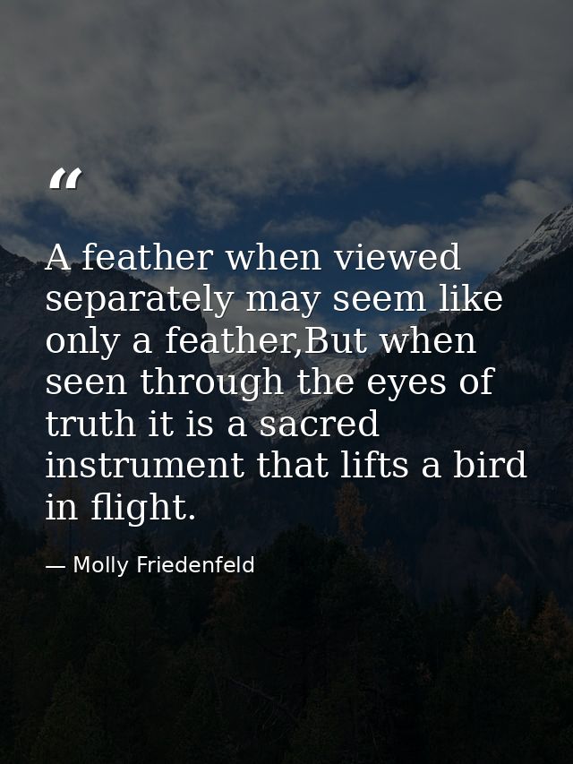 A feather when viewed separately may seem like only a feather,But when seen through the eyes of truth it is a sacred ins — Molly Friedenfeld