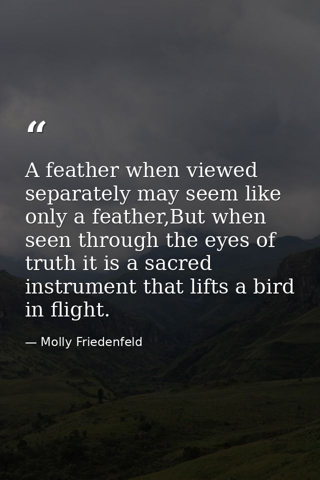 A feather when viewed separately may seem like only a feather,But when seen through the eyes of truth it is a sacred ins — Molly Friedenfeld