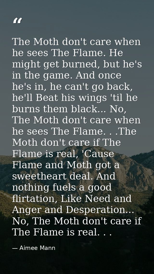 The Moth don't care when he sees The Flame. He might get burned, but he's in the game. And once he's in, he can't go bac — Aimee Mann