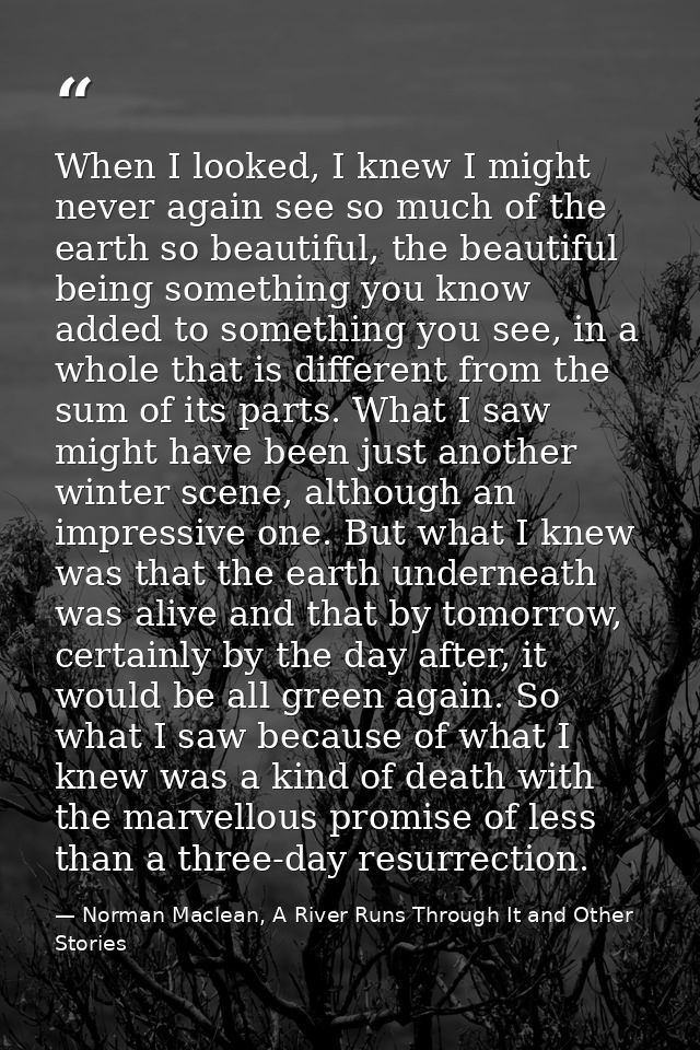 When I looked, I knew I might never again see so much of the earth so beautiful, the beautiful being something you know  — Norman Maclean, A River Runs Through It and Other Stories