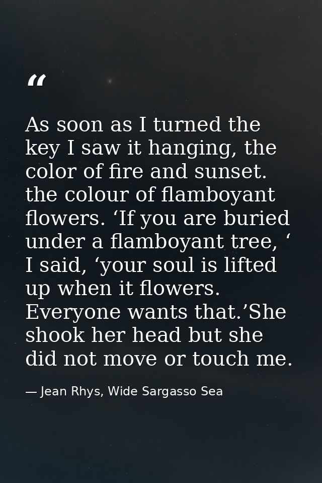 As soon as I turned the key I saw it hanging, the color of fire and sunset. the colour of flamboyant flowers. ‘If you ar — Jean Rhys, Wide Sargasso Sea
