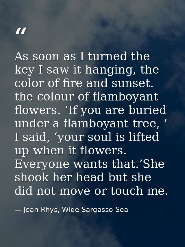 As soon as I turned the key I saw it hanging, the color of fire and sunset. the colour of flamboyant flowers. ‘If you ar — Jean Rhys, Wide Sargasso Sea