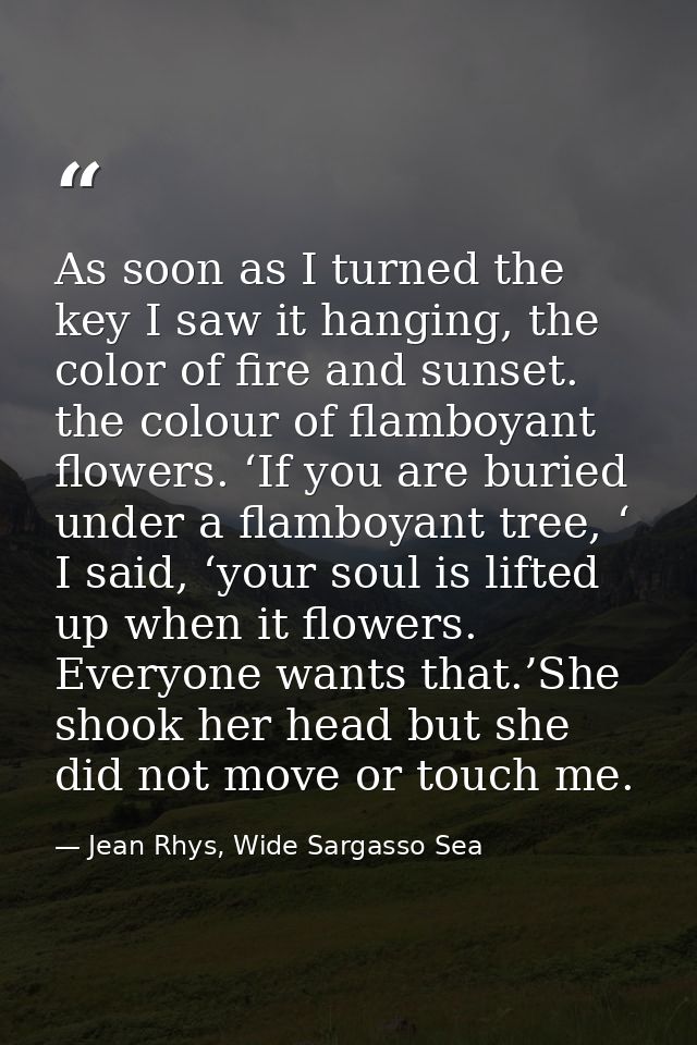 As soon as I turned the key I saw it hanging, the color of fire and sunset. the colour of flamboyant flowers. ‘If you ar — Jean Rhys, Wide Sargasso Sea