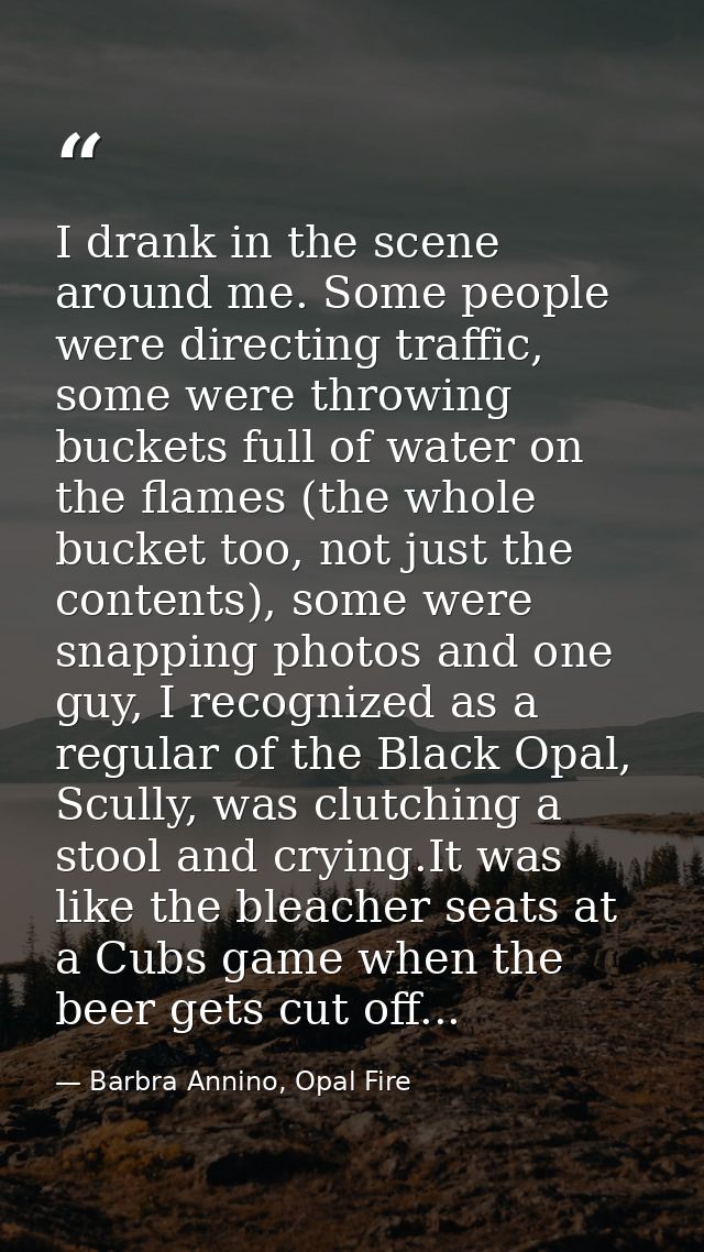 I drank in the scene around me. Some people were directing traffic, some were throwing buckets full of water on the flam — Barbra Annino, Opal Fire