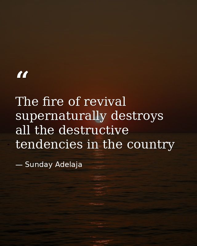 The fire of revival supernaturally destroys all the destructive tendencies in the country — Sunday Adelaja