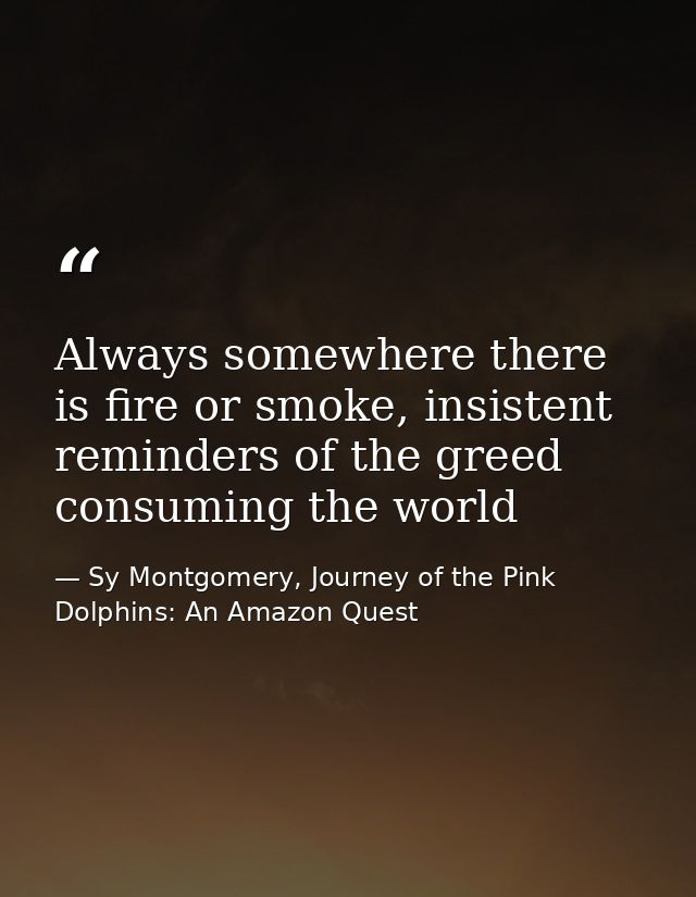 Always somewhere there is fire or smoke, insistent reminders of the greed consuming the world — Sy Montgomery, Journey of the Pink Dolphins: An Amazon Quest