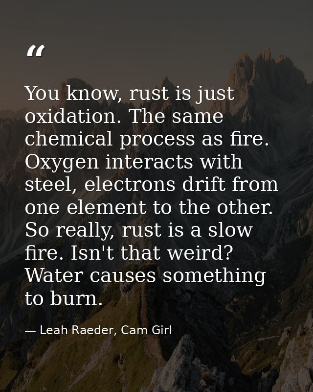You know, rust is just oxidation. The same chemical process as fire. Oxygen interacts with steel, electrons drift from o — Leah Raeder, Cam Girl