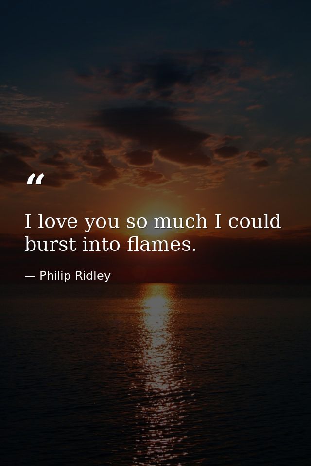 I love you so much I could burst into flames. — Philip Ridley